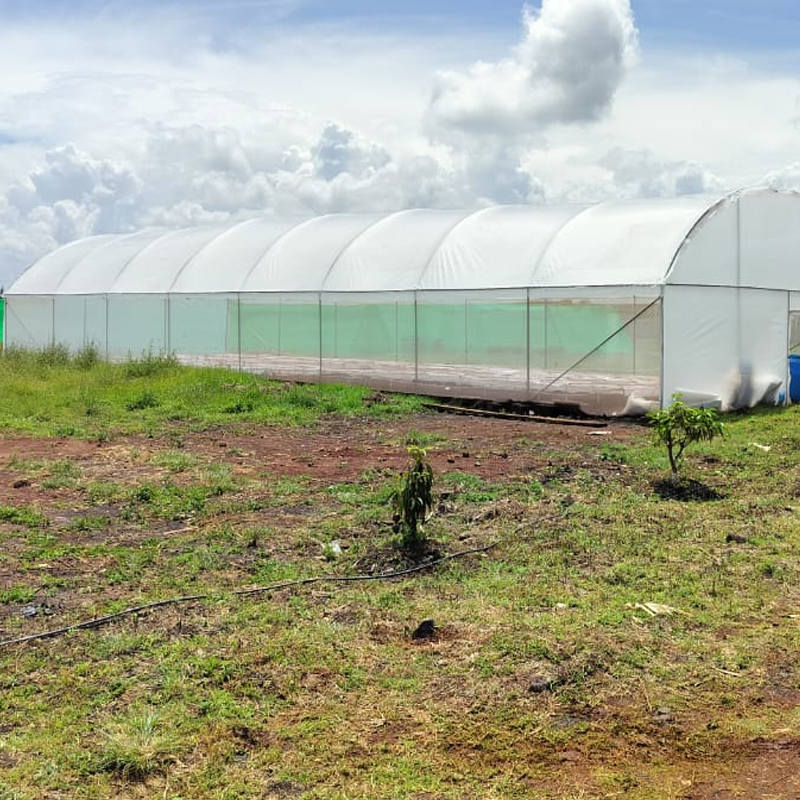 Environmental Survey