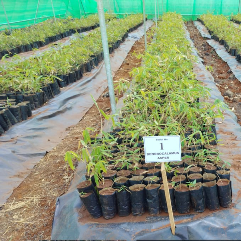 Research Documentation